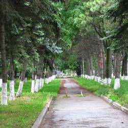 Сквер по улице Парковой