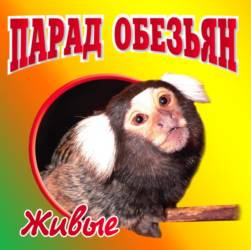 Баннер шоу Парад обезьян