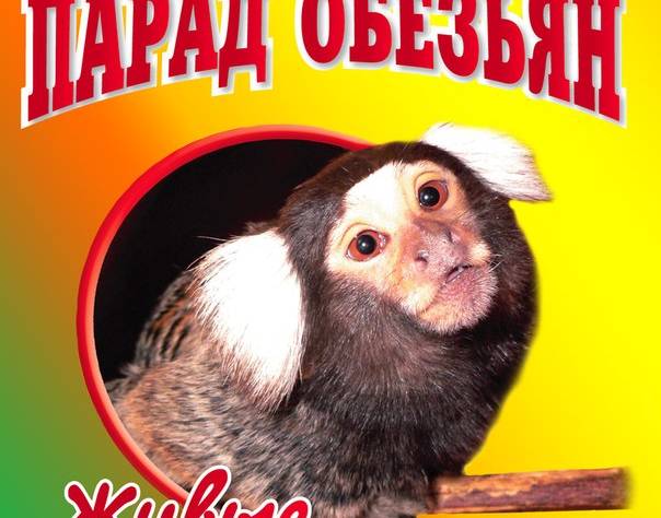 Баннер шоу Парад обезьян