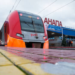 Ласточка в Анапе